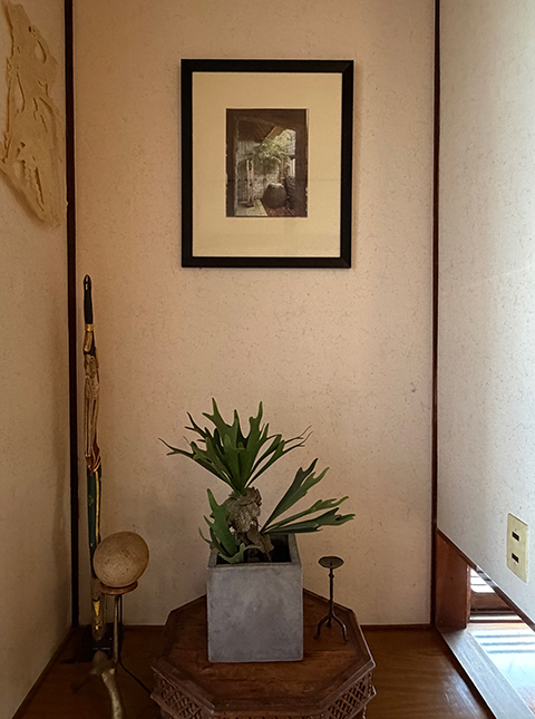 Casa di acero